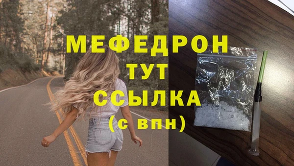 сатива Аша