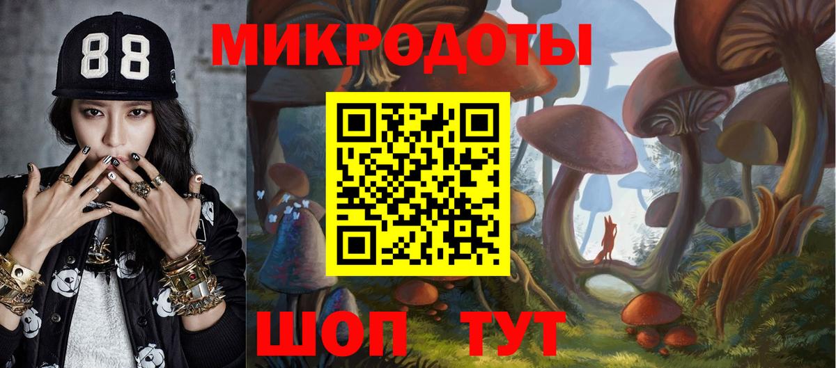 Галлюциногенные грибы Cubensis Белая Калитва