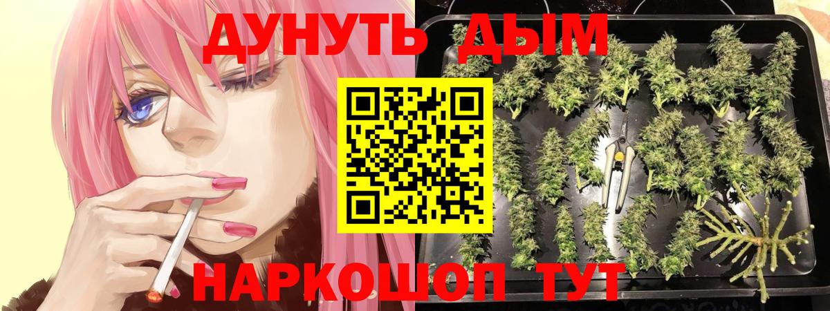 Бошки Шишки SATIVA & INDICA Белая Калитва